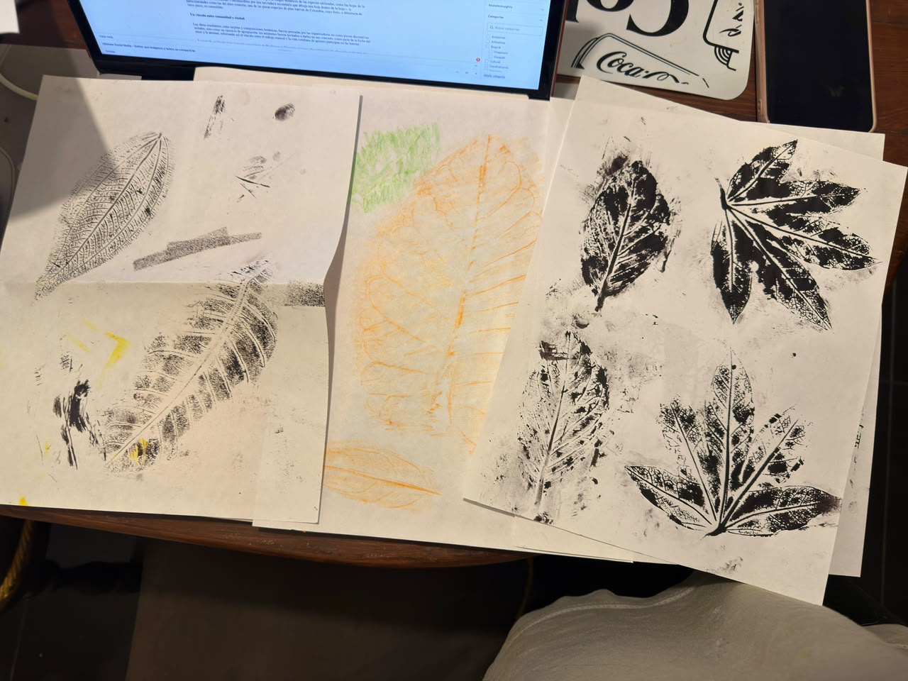 Huerta urbana de Usaquén se convierte en aula viva de saberes ancestrales con el Jardín Botánico de Bogotá